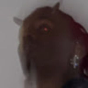 Meet your Posher, Monae